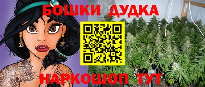 гидра Краснознаменск