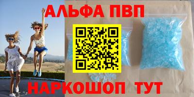 гидра Краснознаменск