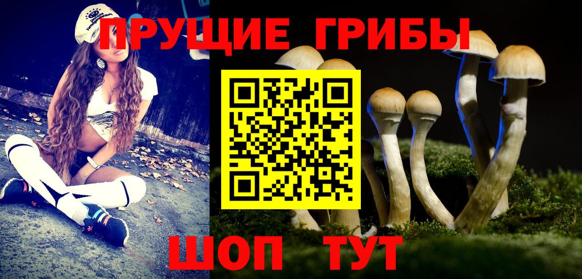 Псилоцибиновые грибы ЛСД  как найти   Вход с VPN  Касимов  Галлюциногенные грибы ЛСД 